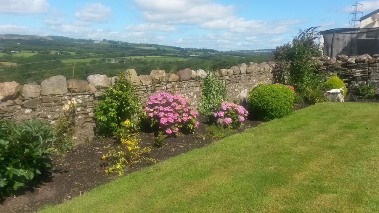 Plas Newydd Farm Llanedy Exterior foto